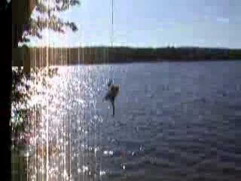 seth rope swing dive