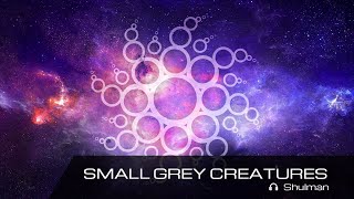 &quot;Small Grey Creatures&quot; - Shulman