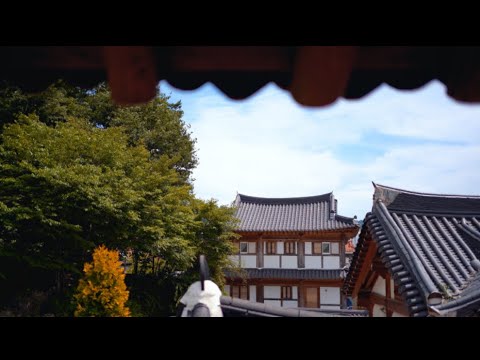 [국내여행 vlog] 전주 당일치기 먹방 찐맛집 코스 #조점례피순대 #전동성당 #길거리야 #카페이르리