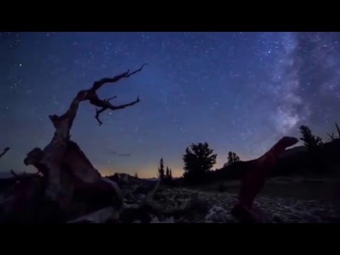 Carlos NakaiEarth Spirit