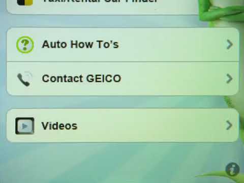 GEICO - Hand Model (2010, USA)