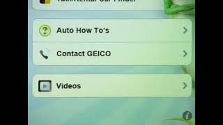 Geico  Hand Model 2010 Usa