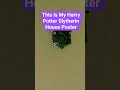 This Is My Harry Potter Slytherin House Poster