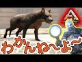 ARK　PS4版＃３５ヒエノドンがわからない！？Yロウのアークサバイバルエボルブド