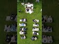 29. července 2024