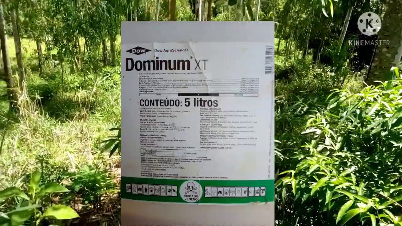 Controle químico contra ervas daninhas na pastagem, com herbicida e bomba costal...