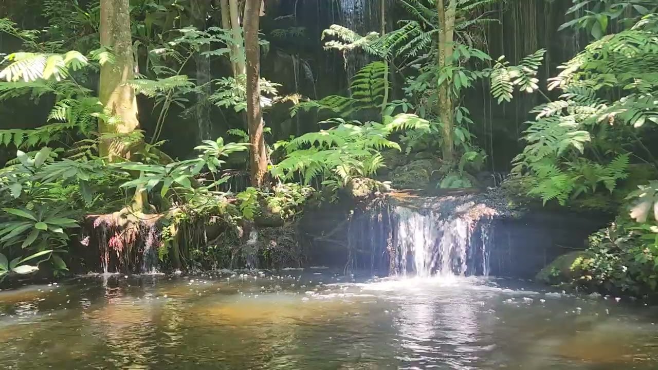 가만히 멍때리기-10분 힐링-카오마오 카오팡의 정원