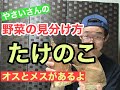 野菜の目利きシリーズ【たけのこ】