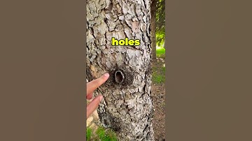 Have you ever found a Geocache container like this?!