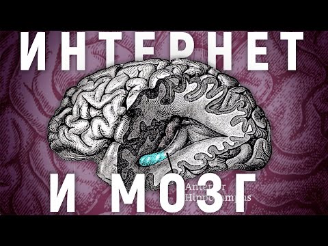 КАК МЫ ЛИШИЛИ СЕБЯ ПАМЯТИ. Интернет vs человек