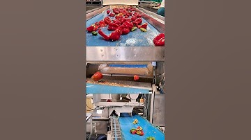 How Raynbow sorting machine sorts red peppers | RAYTEC VISION SpA