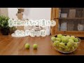 VLOG第一弾！『青梅のはちみつ漬け』を作ったよ！