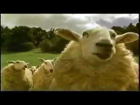 Babe VHS Commercial