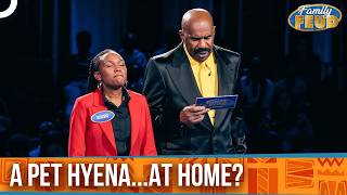 Steve Realizing Contestants Keep A "PET HYENA" At Home! | Fast Money