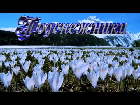 ДОБРОГО ВЕСЕННЕГО УТРА!