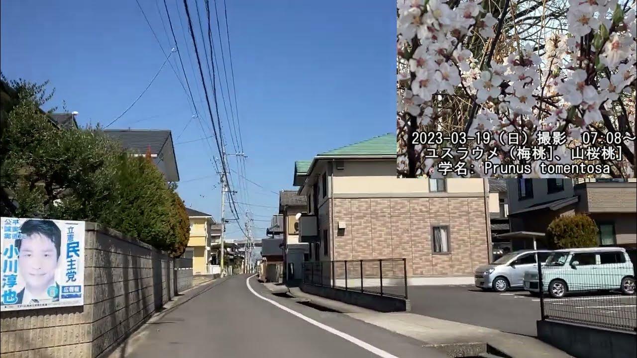 香川県高松市太田下町から(七終り)「太田(高松市)」、Ota (Kagawa Prefecture), from OtaShimo