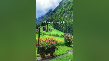 تلاوة عطرة من سورة غافر