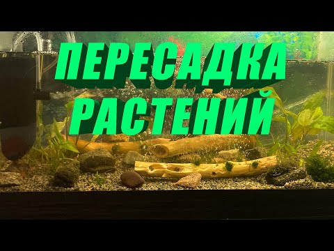 Video: So Installieren Sie Einen Aquarienkompressor