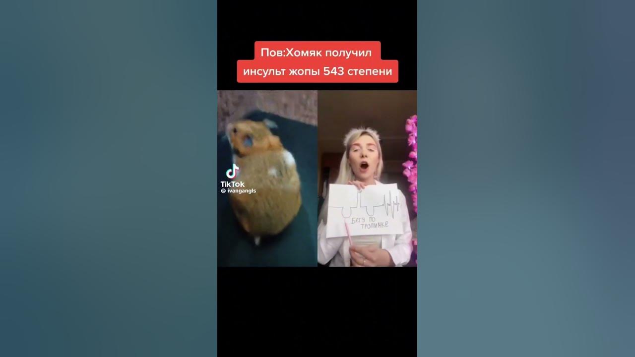 Бедный хомяк 🐹 - YouTube