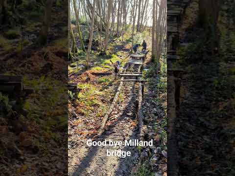 Good bye to the Milland Bridge. It lasted 8 years but it was time for it to go.