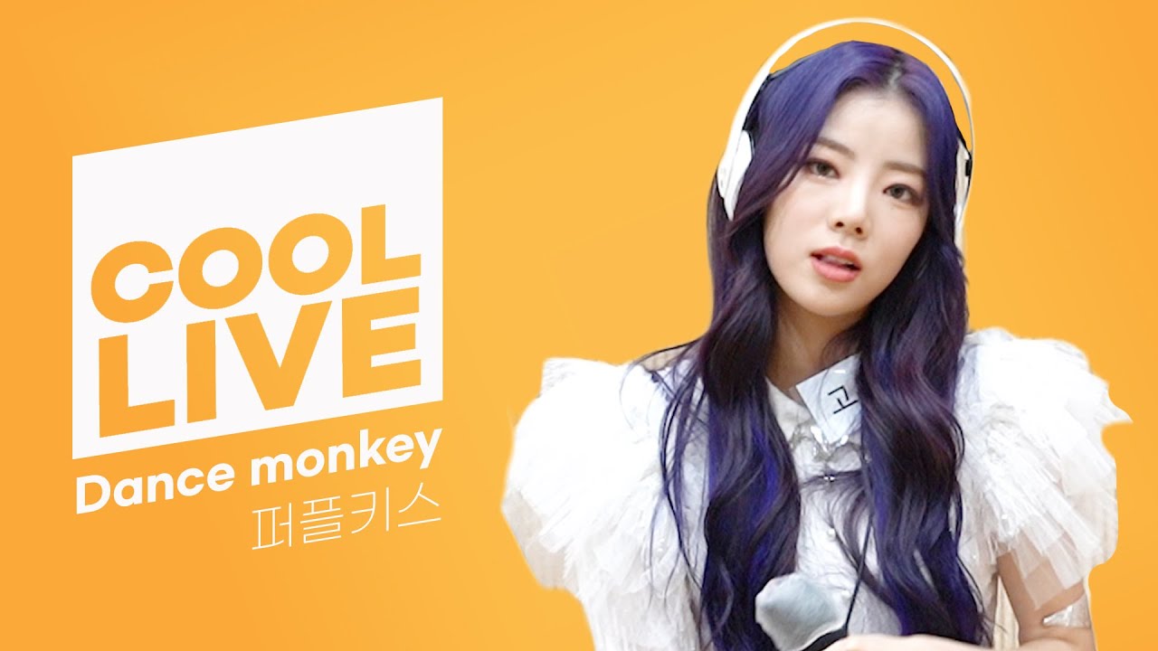 쿨룩 LIVE ▷퍼플키스 ‘Dance monkey' [원곡: TONES AND I] /[DAY6의 키스 더 라디오] ㅣ KBS 210326 방송