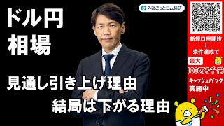 外為どっとコム 公式FX動画chの配信のサムネイル画像
