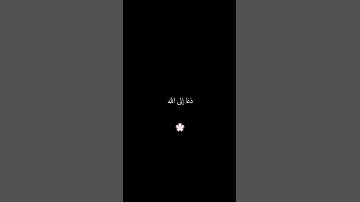 ومن احسن قولا ممن دعا الى الله - تلاوة هادئة للقارئ ابراهيم افريدي