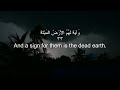 Sherif Mostafa Surah Yaseen heart melting voice❤️ Soothing Quran. سورۃ یس