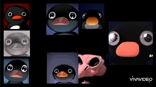 all noot noot