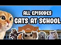 Funny cat memes  cat lovers episode 04
