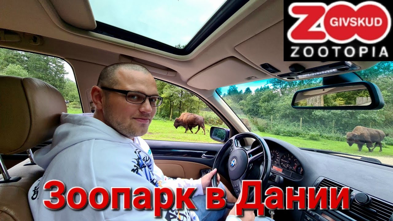 GIVSKUD ZOO ZOOTOPIA