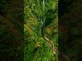 Hidden Paradise in Portugal 🇵🇹 | FPV Dive Through Azores' Green Walls #shorts #azores #portugal