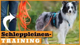Schleppleinentraining Hund I Richtig trainieren mit der Schleppleine I Vorbereitung auf den Freilauf