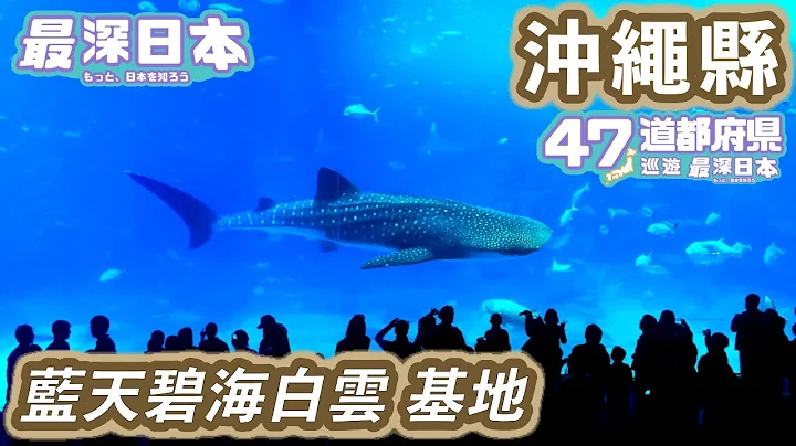 【最深日本】沖縄特輯 美麗海水族館為何那麼偏僻 | 那覇國際通甚麼是國際？ | 世界遺產首里城建在琉球哪個年代 | 泡盛失傳危機【47道都府縣巡遊】 - 天天要聞