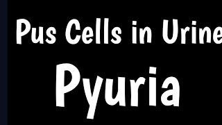Pus Cells in Urine | What Is Pus Cell & Pyuria | Causes, Symptoms, Normal Range  Pus Cells In Urine screenshot 1