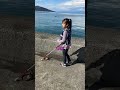 【全盲ここちゃん】堤防を白杖で歩いてみたらサスケに助けてもらいたくなった
