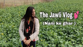 The Jawli Vlog Ii Nani Ke Ghar Ii