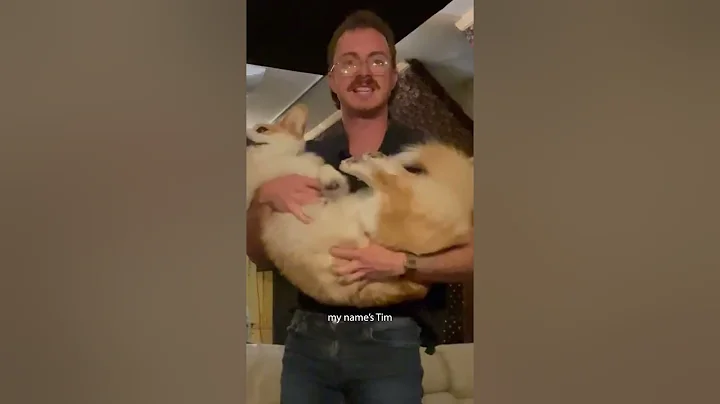 Party Dog ft. Ernie thee Corgi (Music Video) - Tom...