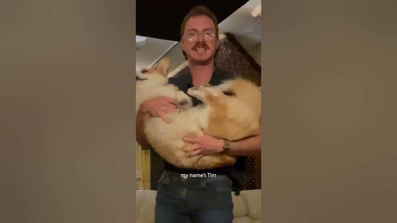 Party Dog ft. Ernie thee (Music Video) Tom Cardy YouTube