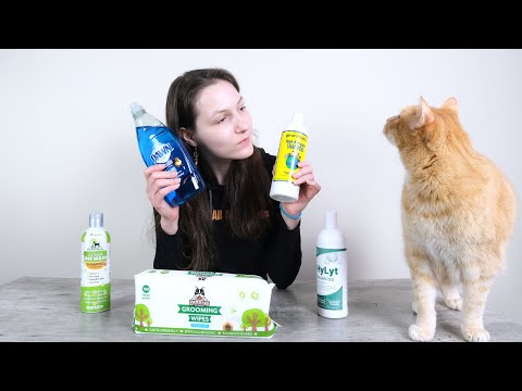 Video: Choosing A Shampoo For A Cat