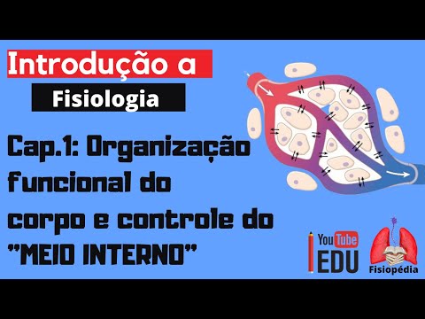 Vídeo: Qual termo descreve as fenestrações localizadas nos capilares?