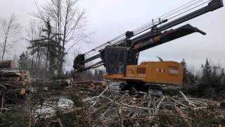 2054 with Limmit delimber at Clearwater