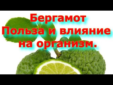 Бергамот - польза и влияние на организм.