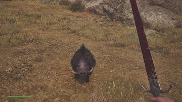 Oblivion Remastered Deep Playthrough 33 Zero HUD Max Gfx Max Difficulty