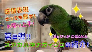 ホーム えとぴりか ホーム えとぴりか