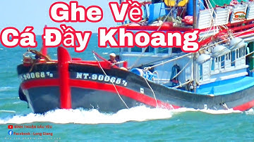 🔴 Ghe Pha Súc Phú Yên//Ninh Thuận Về Cảng Lagi || Bình Thuận Dấu Yêu