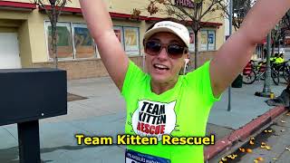 Join us for the 2022 Marathon, Charity Challenge and 5k! by KittenRescueLA 104 views 2 years ago 3 minutes, 2 seconds