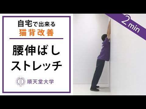 【猫背改善】2分間の腰伸ばしストレッチ（腰曲がり, パーキンソン病）