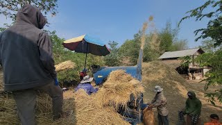 🌾🌾สะบายดีพีน้องมื้นี้พ่นเข้าแล้ว 🇱🇦🌾ฝากดติดตามกดไลน#สาวลาว 🇱🇦#ลาวไต้ 🇱🇦