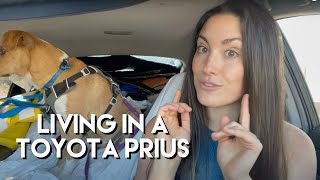 Living in a PRIUS at the BEST Walmart in America! - Arkansas